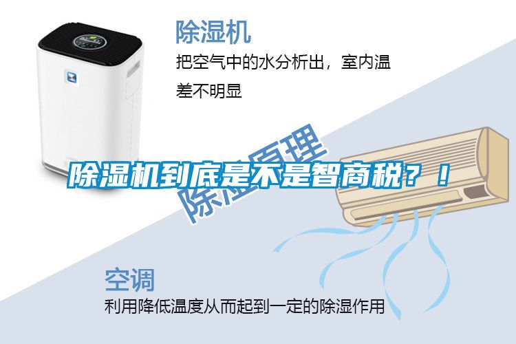 草莓视频APP在线观看到底是不是智商税？！