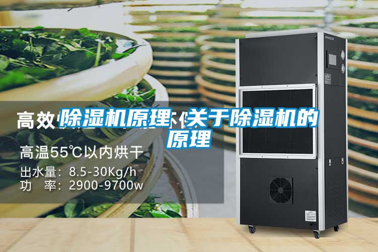 草莓视频APP在线观看原理 关于草莓视频APP在线观看的原理