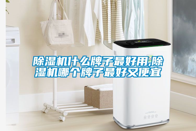 草莓视频APP在线观看什么牌子最好用,草莓视频APP在线观看哪个牌子最好又便宜