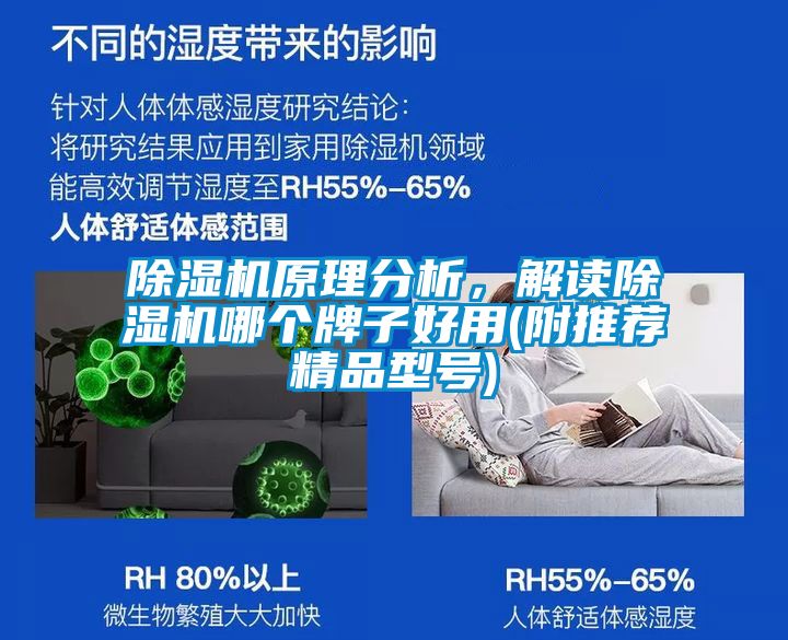 草莓视频APP在线观看原理分析，解读草莓视频APP在线观看哪个牌子好用(附推荐精品型号)