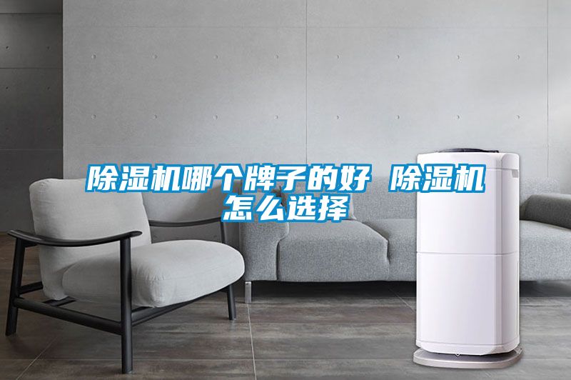 草莓视频APP在线观看哪个牌子的好 草莓视频APP在线观看怎么选择