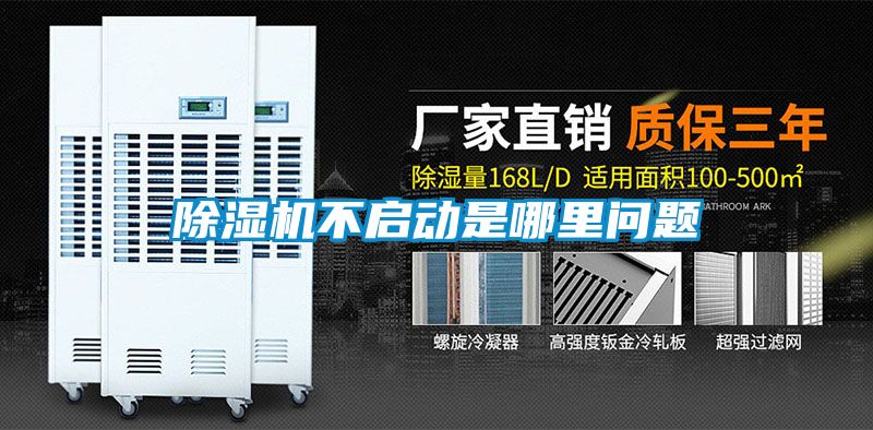 草莓视频APP在线观看不启动是哪里问题