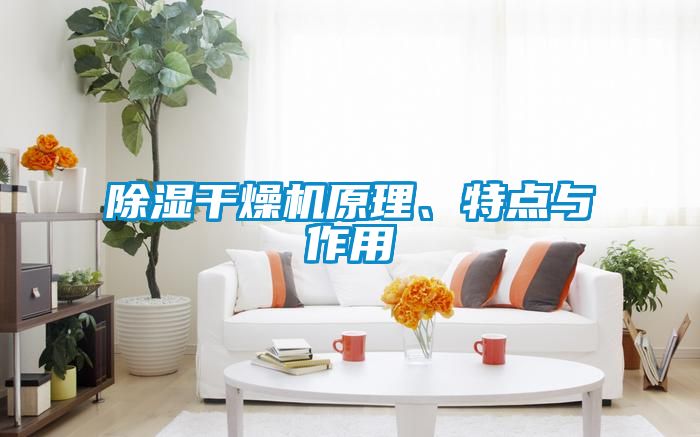 除湿干燥机原理、特点与作用