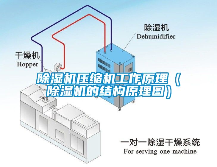 草莓视频APP在线观看压缩机工作原理（草莓视频APP在线观看的结构原理图）