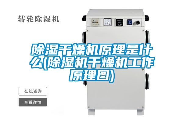 除湿干燥机原理是什么(草莓视频APP在线观看干燥机工作原理图)