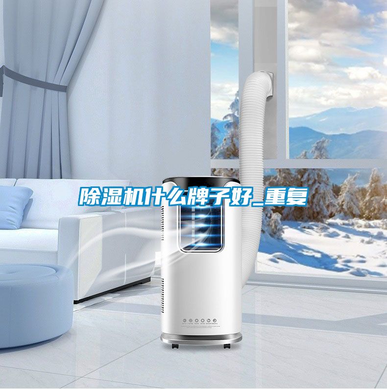 草莓视频APP在线观看什么牌子好_重复