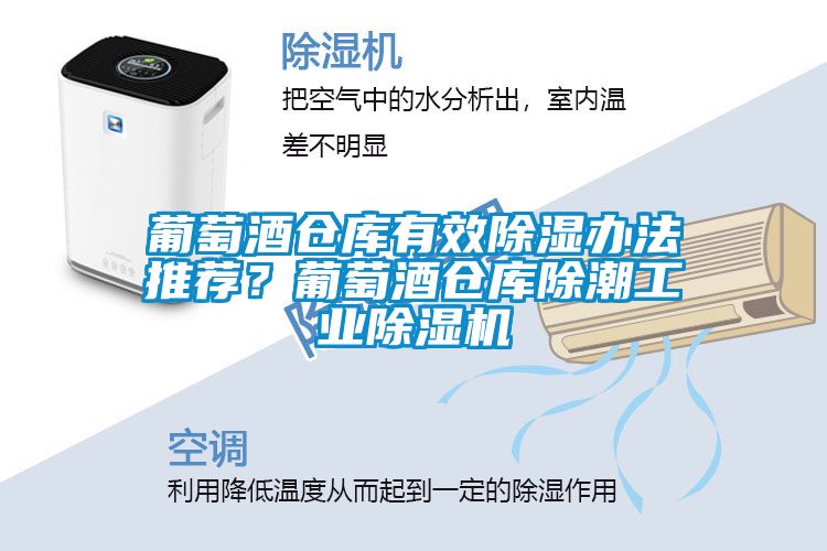 葡萄酒仓库有效除湿办法推荐？葡萄酒仓库除潮工业草莓视频APP在线观看