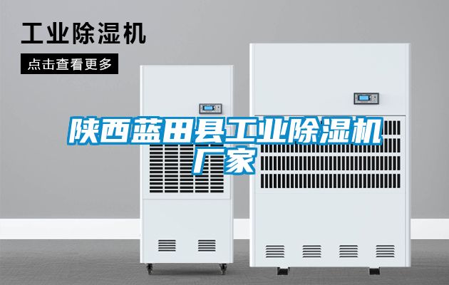 陕西蓝田县工业草莓视频APP在线观看厂家