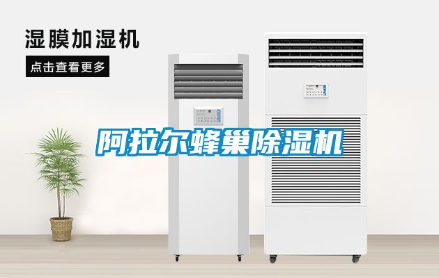 阿拉尔蜂巢草莓视频APP在线观看