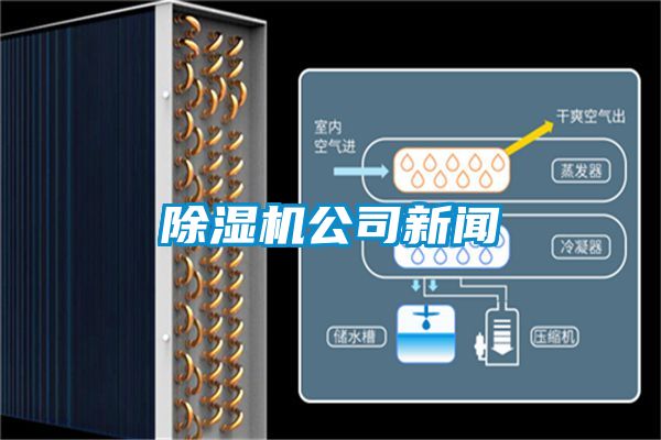 草莓视频APP在线观看公司新闻