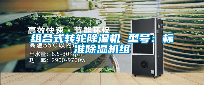 组合式转轮草莓视频APP在线观看 型号：标准草莓视频APP在线观看组