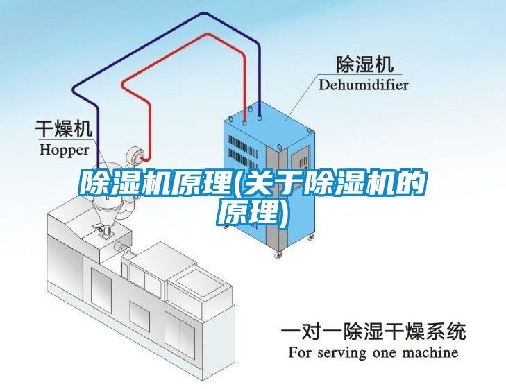 草莓视频APP在线观看原理(关于草莓视频APP在线观看的原理)