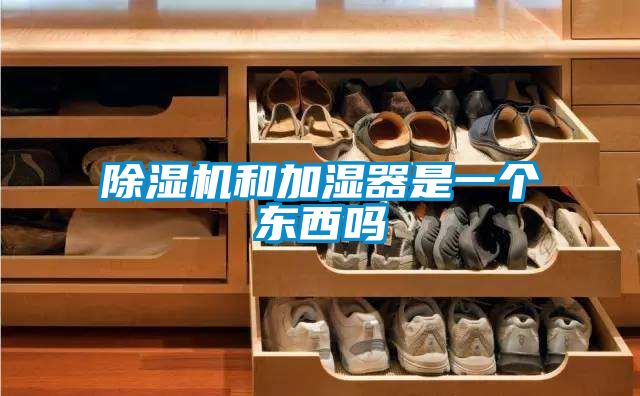草莓视频APP在线观看和加湿器是一个东西吗