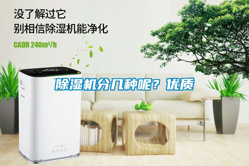 草莓视频APP在线观看分几种呢？优质