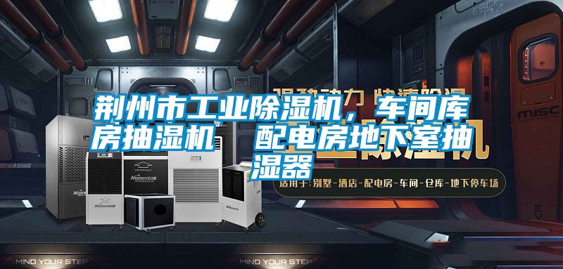 荆州市工业草莓视频APP在线观看，车间库房抽湿机  配电房地下室抽湿器