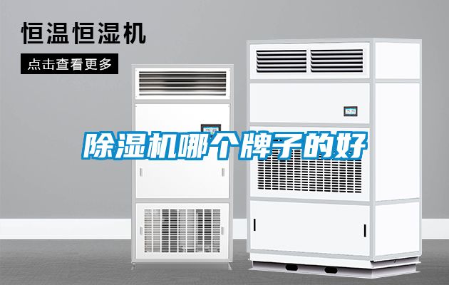草莓视频APP在线观看哪个牌子的好