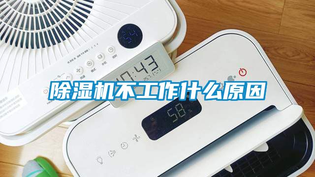 草莓视频APP在线观看不工作什么原因
