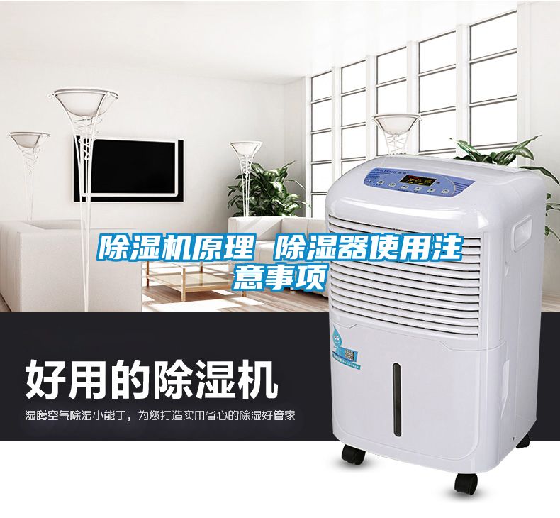 草莓视频APP在线观看原理 除湿器使用注意事项