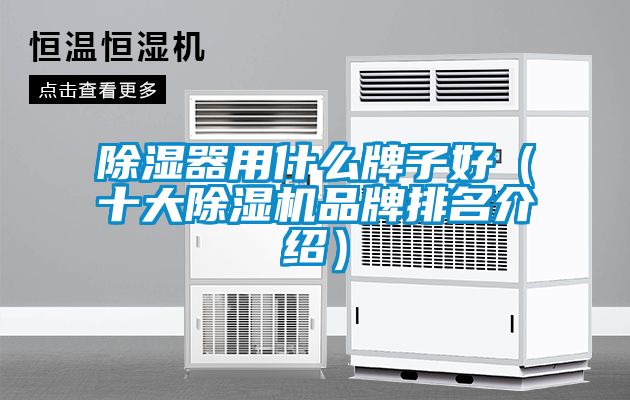 除湿器用什么牌子好（十大草莓视频APP在线观看品牌排名介绍）