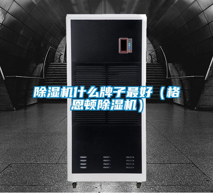 草莓视频APP在线观看什么牌子最好（格恩顿草莓视频APP在线观看）