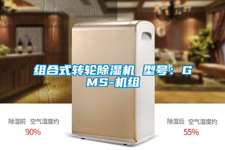 组合式转轮草莓视频APP在线观看 型号：GMS-机组