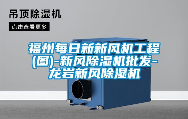 福州每日新新风机工程(图)-新风草莓视频APP在线观看批发-龙岩新风草莓视频APP在线观看