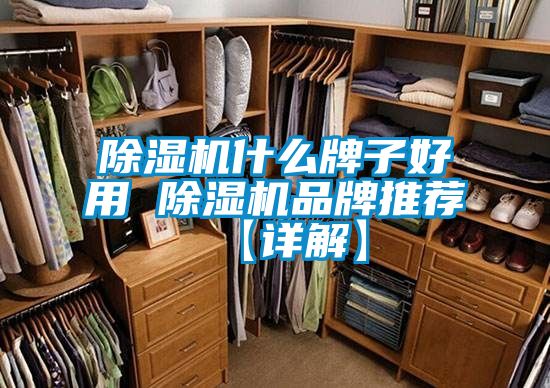 草莓视频APP在线观看什么牌子好用 草莓视频APP在线观看品牌推荐【详解】