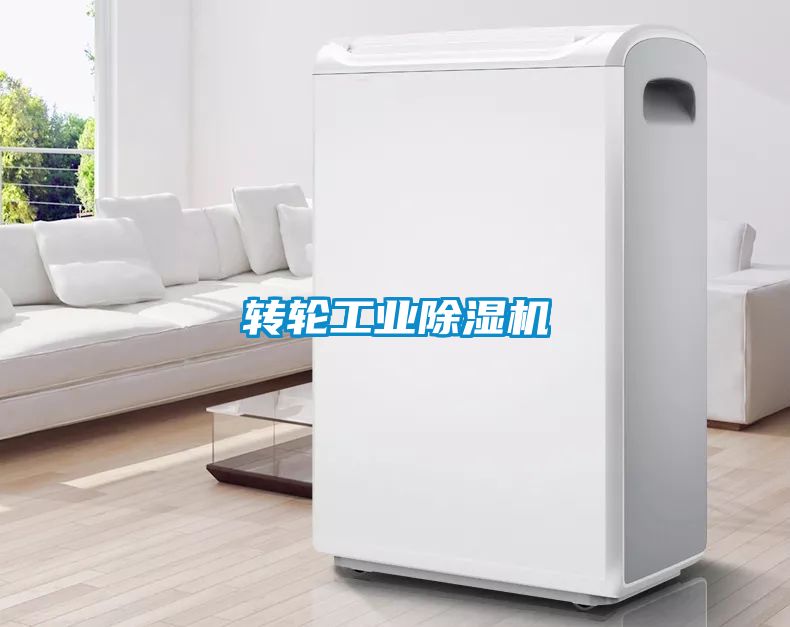 转轮工业草莓视频APP在线观看