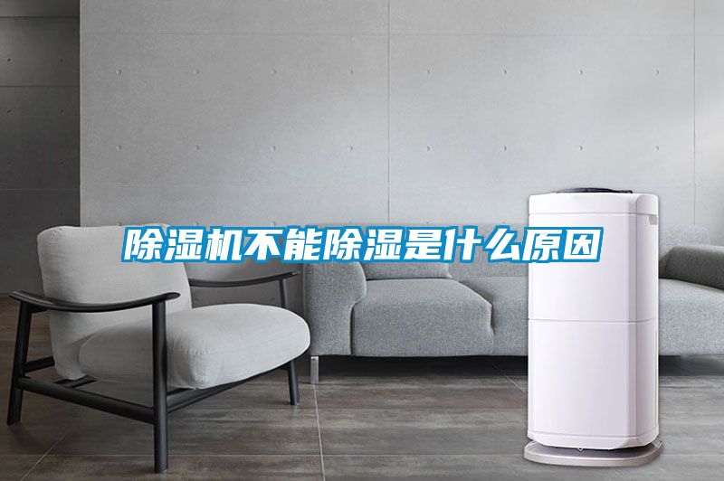 草莓视频APP在线观看不能除湿是什么原因