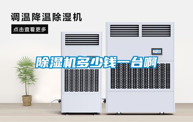 草莓视频APP在线观看多少钱一台啊