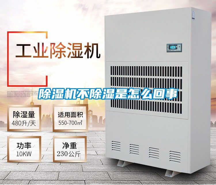 草莓视频APP在线观看不除湿是怎么回事