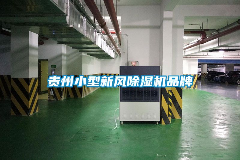 贵州小型新风草莓视频APP在线观看品牌