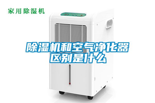 草莓视频APP在线观看和空气净化器区别是什么