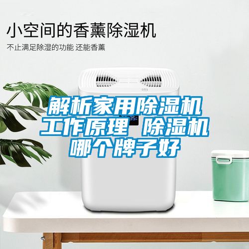 解析家用草莓视频APP在线观看工作原理 草莓视频APP在线观看哪个牌子好