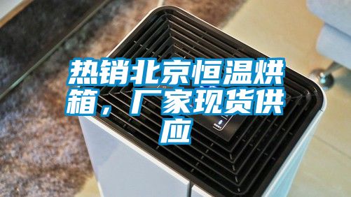 热销北京恒温烘箱，厂家现货供应