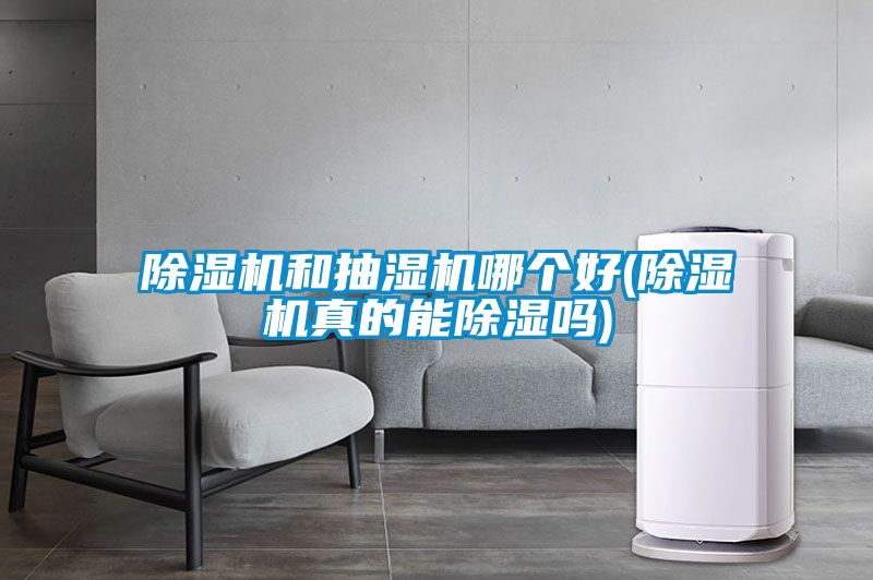 草莓视频APP在线观看和抽湿机哪个好(草莓视频APP在线观看真的能除湿吗)