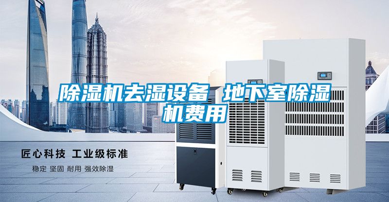 草莓视频APP在线观看去湿设备 地下室草莓视频APP在线观看费用