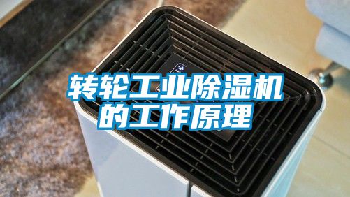 转轮工业草莓视频APP在线观看的工作原理