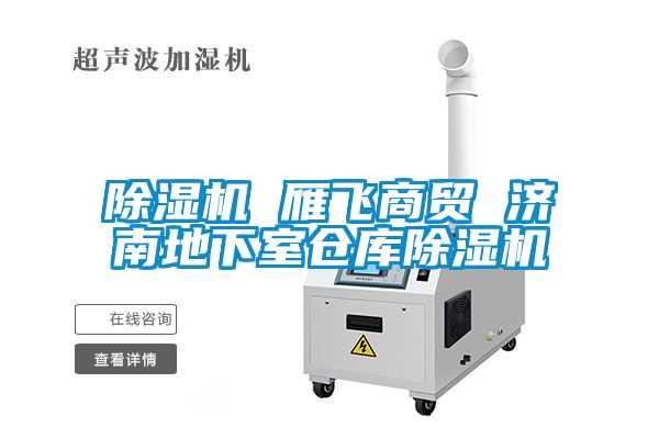 草莓视频APP在线观看 雁飞商贸 济南地下室仓库草莓视频APP在线观看