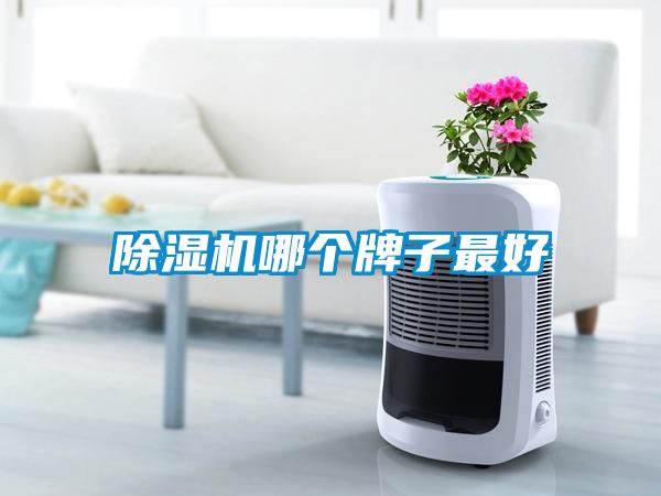草莓视频APP在线观看哪个牌子最好