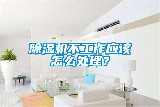 草莓视频APP在线观看不工作应该怎么处理？