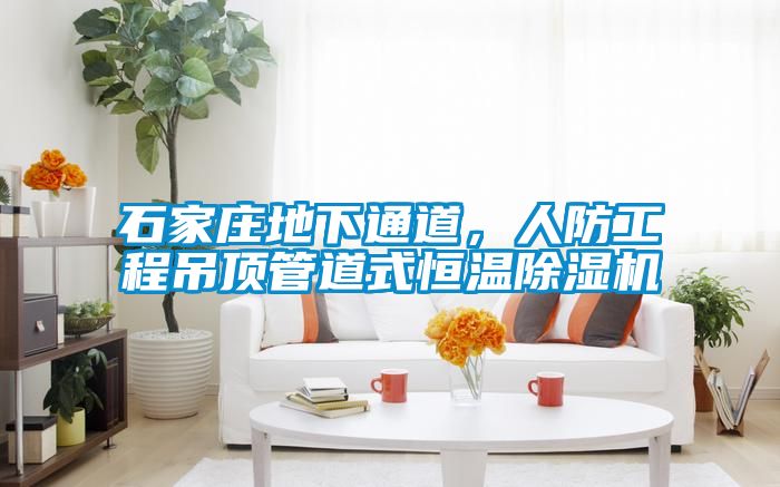 石家庄地下通道，人防工程吊顶管道式恒温草莓视频APP在线观看
