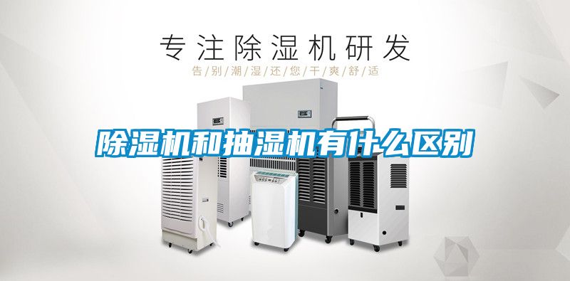 草莓视频APP在线观看和抽湿机有什么区别