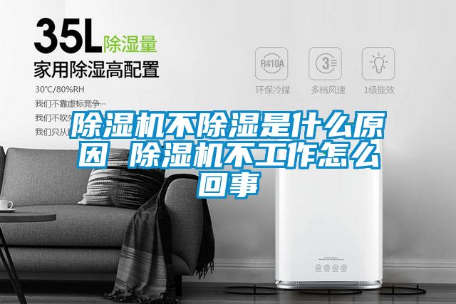 草莓视频APP在线观看不除湿是什么原因 草莓视频APP在线观看不工作怎么回事