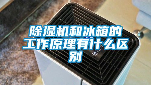 草莓视频APP在线观看和冰箱的工作原理有什么区别