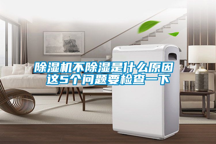 草莓视频APP在线观看不除湿是什么原因 这5个问题要检查一下