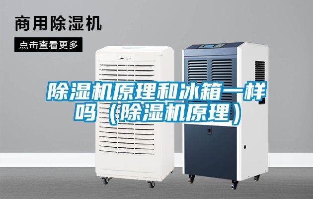草莓视频APP在线观看原理和冰箱一样吗（草莓视频APP在线观看原理）