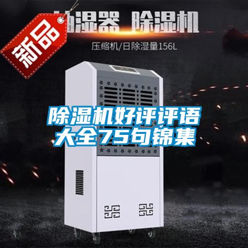 草莓视频APP在线观看好评评语大全75句锦集