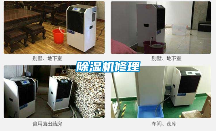 草莓视频APP在线观看修理
