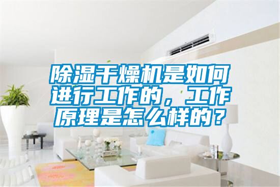 除湿干燥机是如何进行工作的，工作原理是怎么样的？